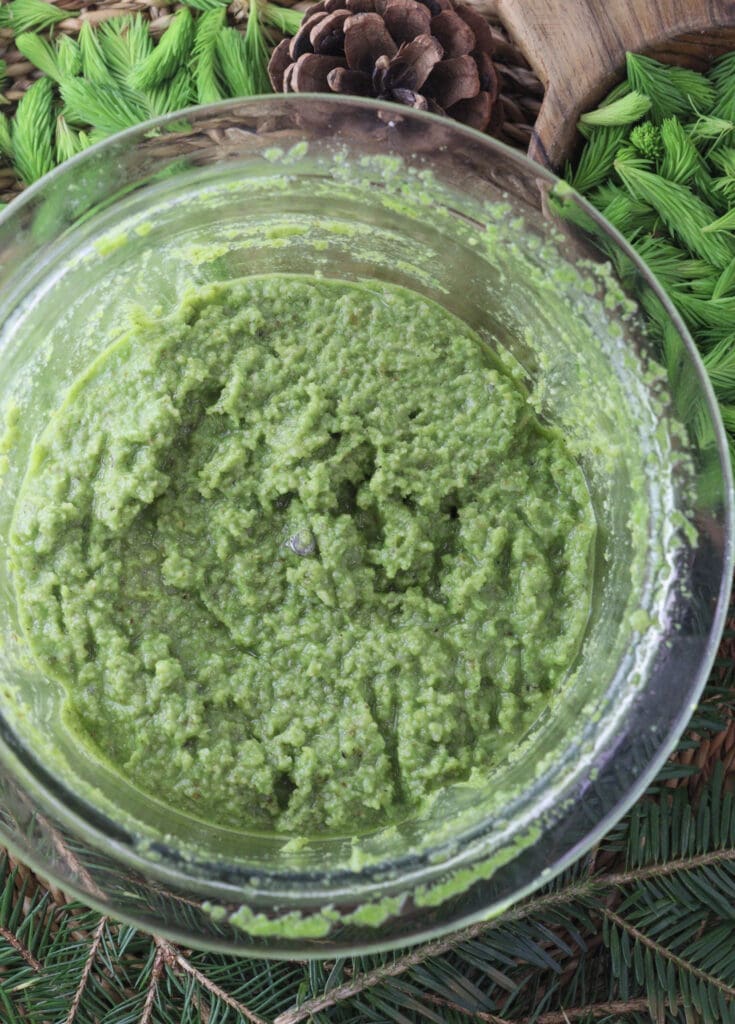 Image of the final mixture of spruce tip pesto before serving it.